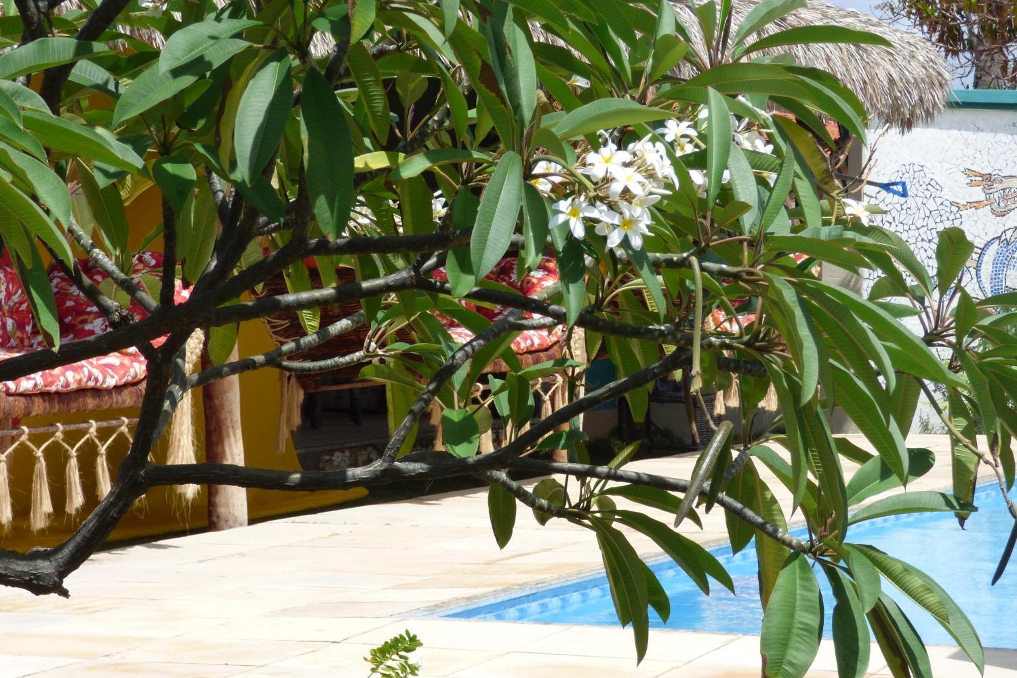 A Toca Do Bem-Te-Vi Hotel Aguas Belas Bagian luar foto